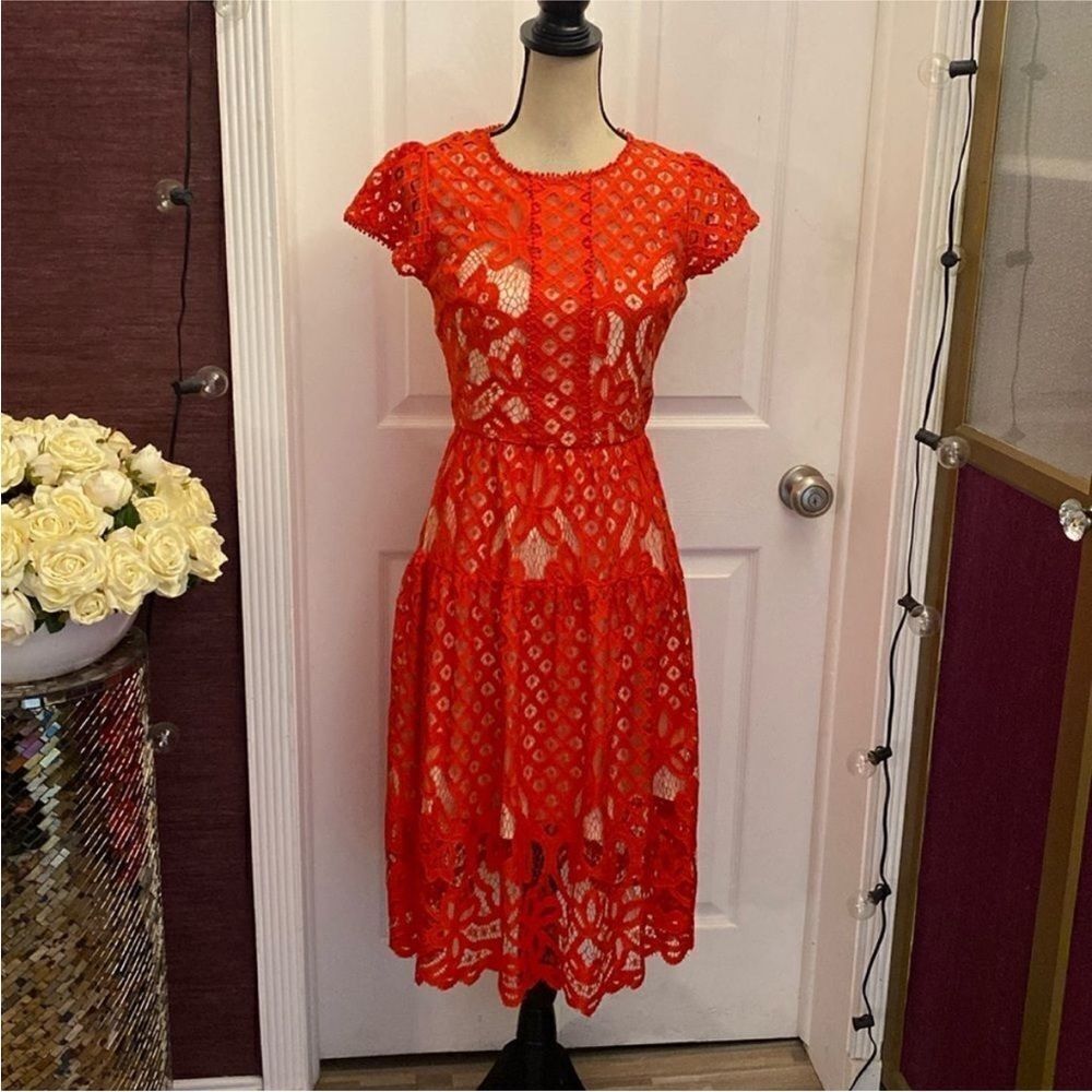 Parker Vibrant Red Lace Midi Dress, S - Picture 3 of 12